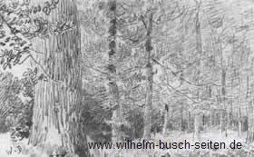 Wald mit Eichenstamm (153 KB)