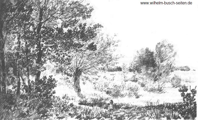 Wiedensahler Landschaft