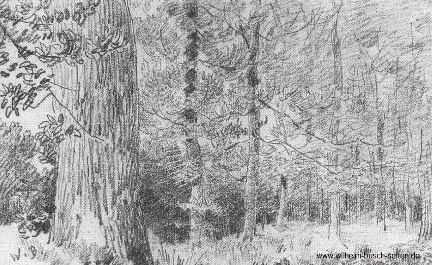 Wald mit Eichenstamm